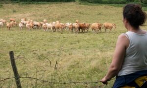 Formations courtes à la carte en Agriculture 2025/2026